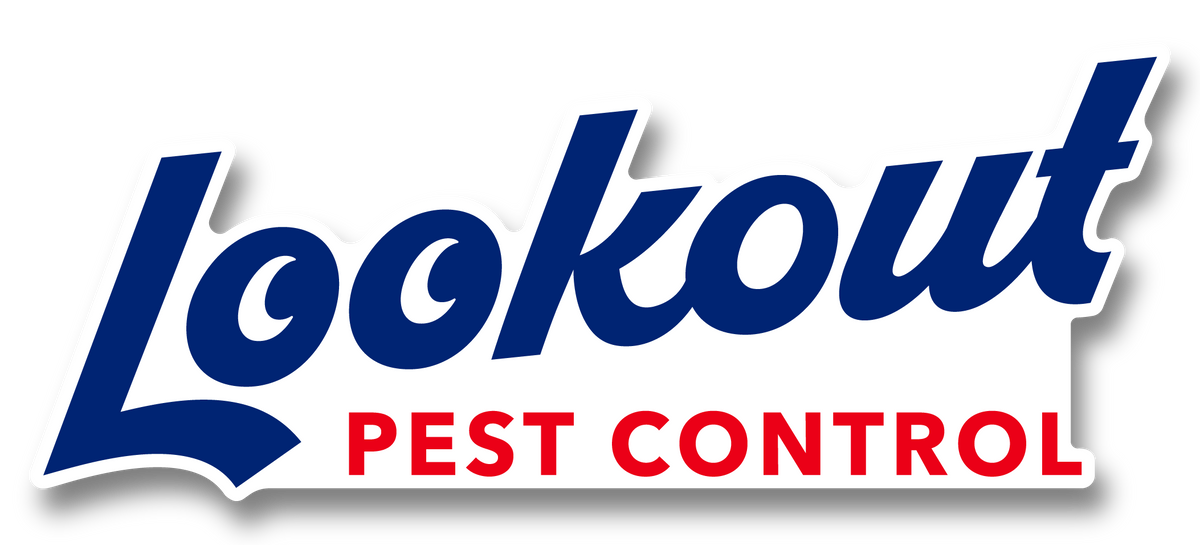 Lookout decal